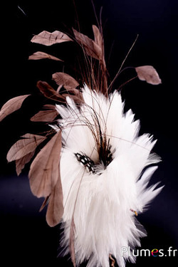 Plumet coq -  hauteur 30 cm - café-crème